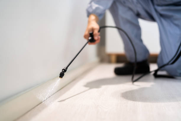 Professional exterminator conducting IPM assessment in Bayshore